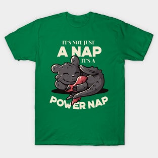 It’s Not Just a Nap, It’s A Power Nap Cute Lazy Dragon Gift T-Shirt